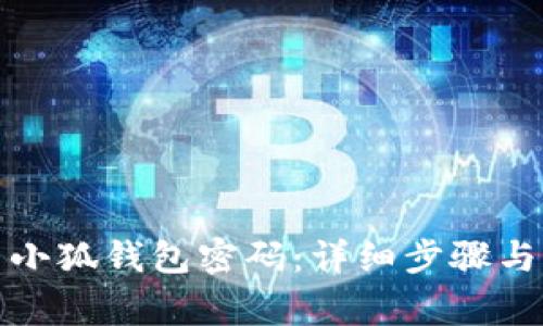 如何设置小狐钱包密码：详细步骤与注意事项