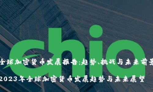 全球加密货币发展报告：趋势、挑战与未来前景

2023年全球加密货币发展趋势与未来展望