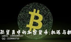 国际贸易中的加密货币：