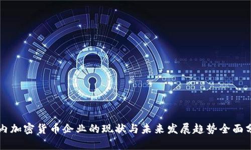 国内加密货币企业的现状与未来发展趋势全面分析