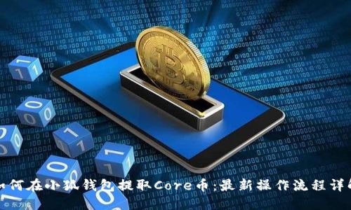 如何在小狐钱包提取Core币：最新操作流程详解