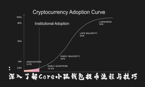 :
深入了解Core小狐钱包提币流程与技巧