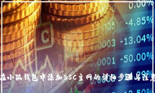 如何在小狐钱包中添加BSC主网的详细步骤与注意事项
