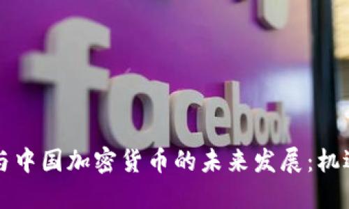 比特币与中国加密货币的未来发展：机遇与挑战