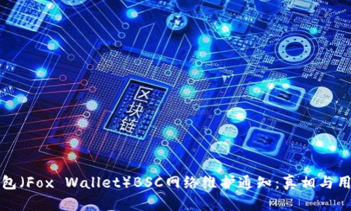 小狐钱包（Fox Wallet）BSC网络维护通知：真相与用户指南
