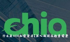 什么是ORE加密货币？深入