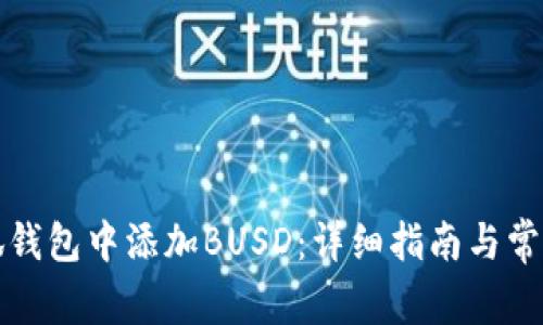 如何在小狐钱包中添加BUSD：详细指南与常见问题解答