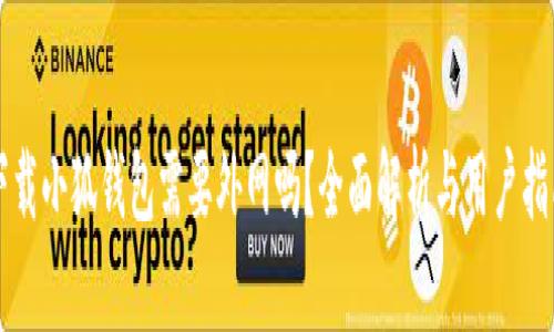 下载小狐钱包需要外网吗？全面解析与用户指南