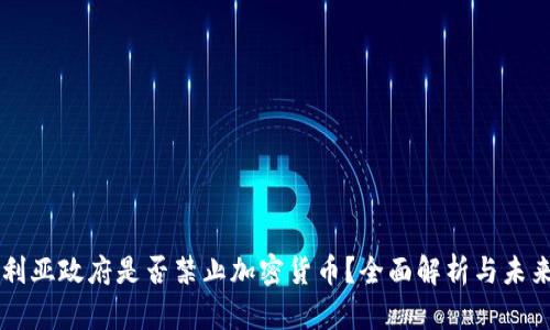 尼日利亚政府是否禁止加密货币？全面解析与未来展望