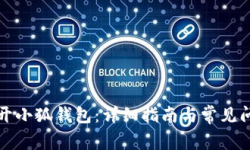 如何打开小狐钱包：详细指南与常见问题解答