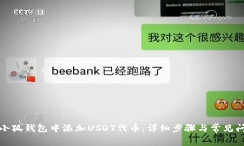 如何在小狐钱包中添加USDT代币：详细步骤与常见问题解答
