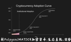 全面深入解析Polygon（MAT