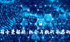 深圳加密货币公司全景解