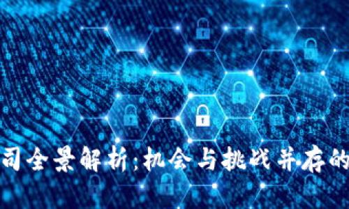 深圳加密货币公司全景解析：机会与挑战并存的数字金融新天地