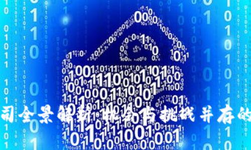 深圳加密货币公司全景解析：机会与挑战并存的数字金融新天地