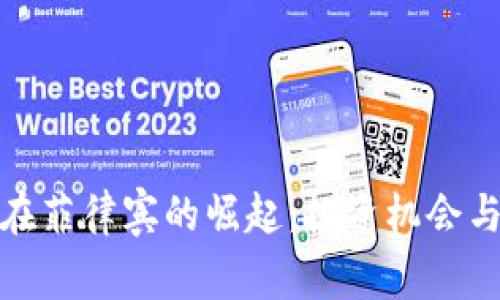 加密货币在菲律宾的崛起：投资机会与监管挑战