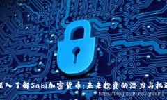 深入了解Sabi加密货币：未