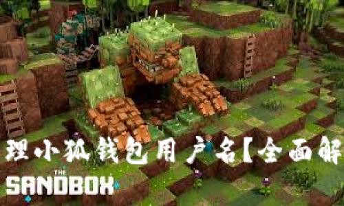如何注册和管理小狐钱包用户名？全面解析与实用技巧