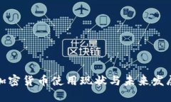 全球加密货币使用现状与