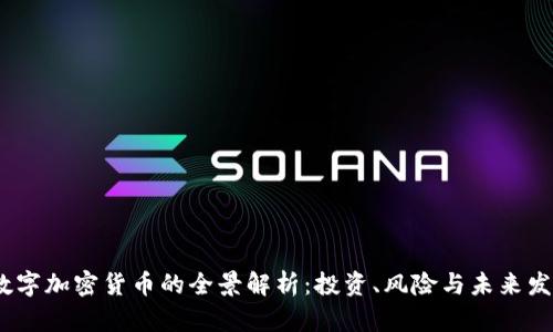 2021数字加密货币的全景解析：投资、风险与未来发展趋势