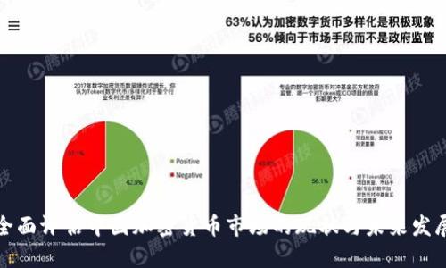 全面评估中国加密货币市场的现状与未来发展