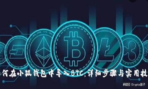 如何在小狐钱包中导入BTC：详细步骤与实用技巧
