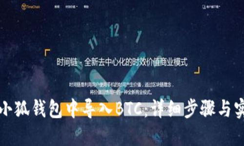 如何在小狐钱包中导入BTC：详细步骤与实用技巧