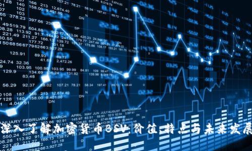 深入了解加密货币BSV：价值、特点与未来发展