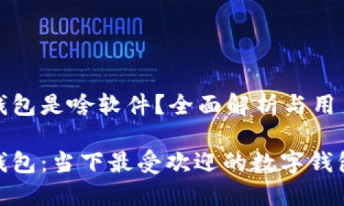 小狐钱包是啥软件？全面解析与用户指南

小狐钱包：当下最受欢迎的数字钱包介绍