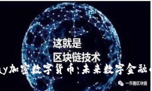 深入探讨VPay加密数字货币：未来数字金融的潜力与挑战
