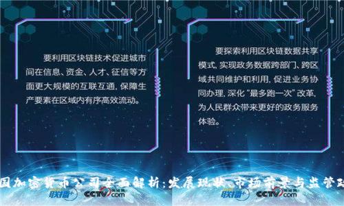 法国加密货币公司全面解析：发展现状、市场前景与监管政策