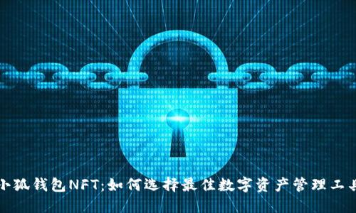 小狐钱包NFT：如何选择最佳数字资产管理工具