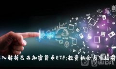 深入解析巴西加密货币E