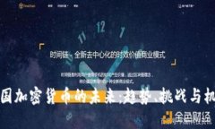美国加密货币的未来：趋