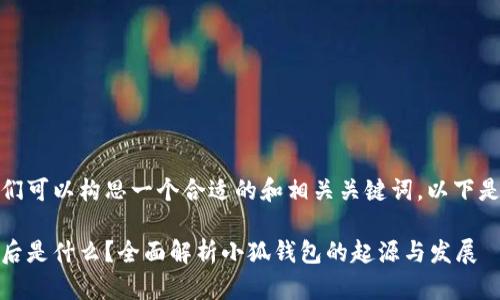 在这个问题上，我们可以构思一个合适的和相关关键词。以下是建议的和关键词：

小狐钱包：它的背后是什么？全面解析小狐钱包的起源与发展