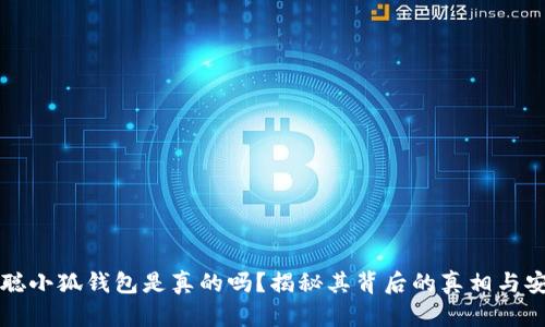 中本聪小狐钱包是真的吗？揭秘其背后的真相与安全性