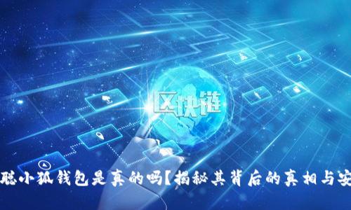 中本聪小狐钱包是真的吗？揭秘其背后的真相与安全性