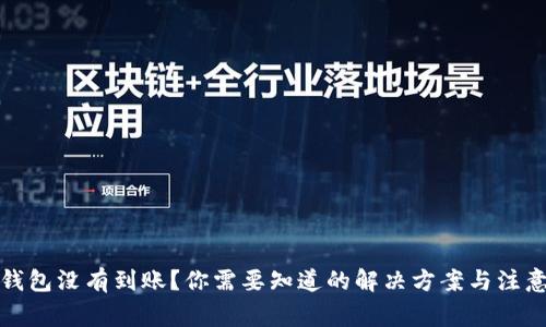 小狐钱包没有到账？你需要知道的解决方案与注意事项
