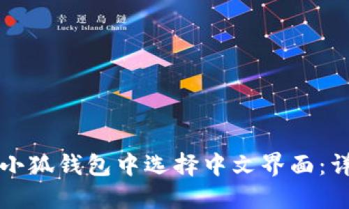 如何在小狐钱包中选择中文界面：详细指南