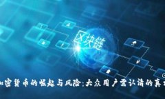 加密货币的崛起与风险：