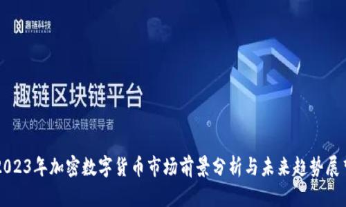 2023年加密数字货币市场前景分析与未来趋势展望