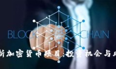 全面解析加密货币项目：