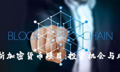 全面解析加密货币项目：投资机会与风险分析