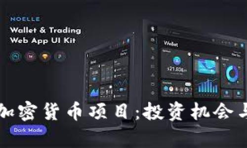 全面解析加密货币项目：投资机会与风险分析
