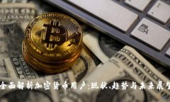 全面解析加密货币用户：
