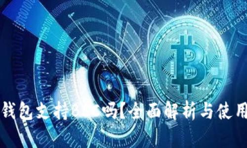 小狐钱包支持BSC吗？全面解析与使用指南