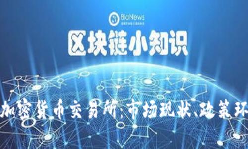 全面解析中国加密货币交易所：市场现状、政策环境与未来趋势