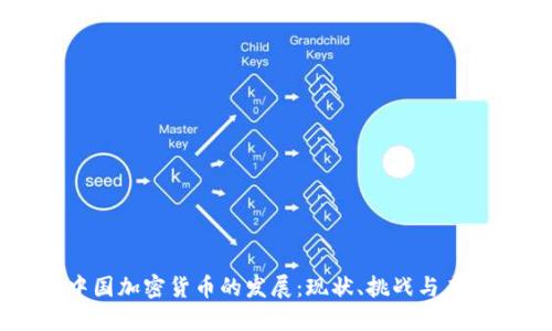 中国加密货币的发展：现状、挑战与未来