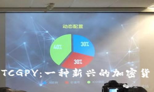 深度解析BTCGPY：一种新兴的加密货币及其应用