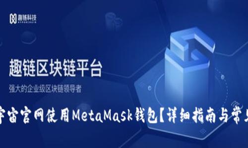 如何在虹宇宙官网使用MetaMask钱包？详细指南与常见问题解答
